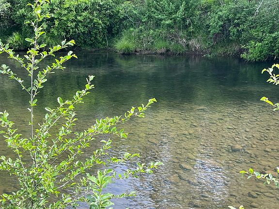 5th image of 6900 Crowfoot Rd