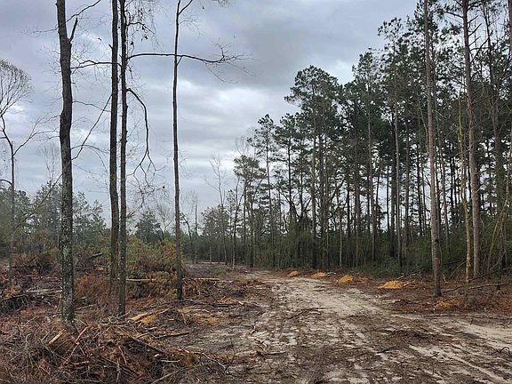 5th image of County Road 182