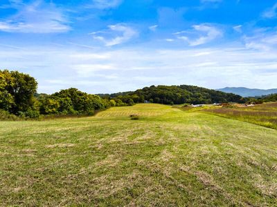 Bluff Rd, Parrottsville, TN, 37843