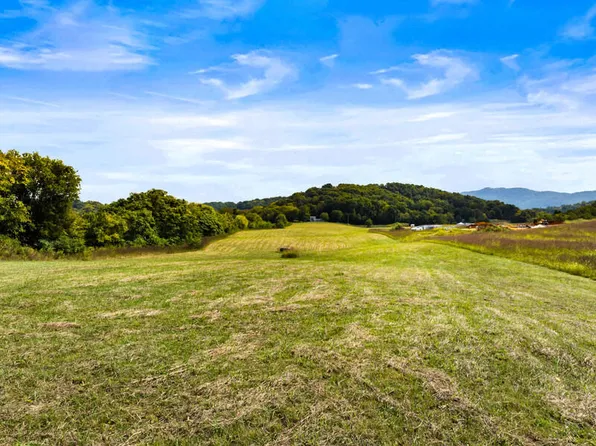 Bluff Rd, Parrottsville, TN 37843