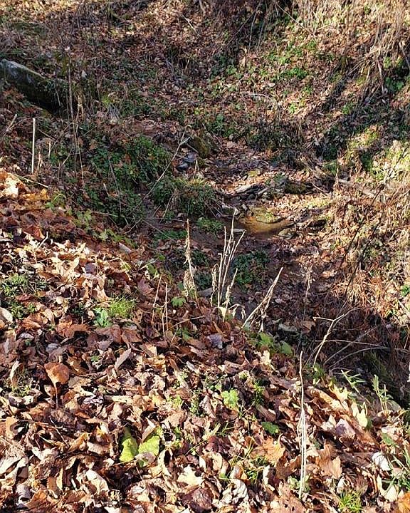 Melton Branch Rd, Bakersville, NC 28705 Zillow