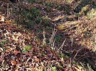 Melton Branch Rd, Bakersville, NC 28705