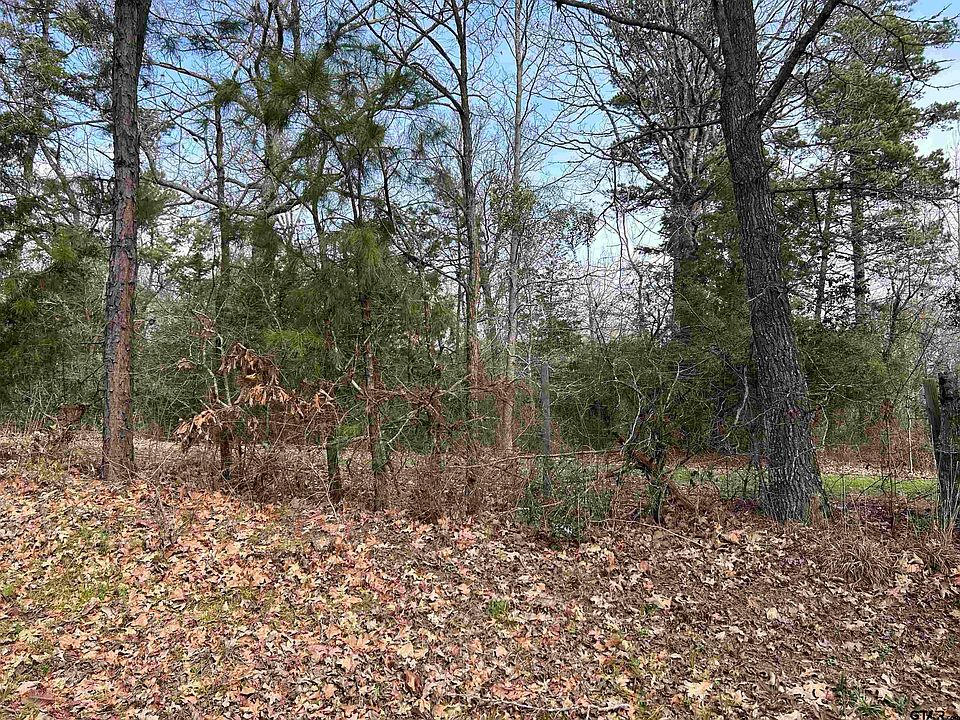 County Road 482, Mount Enterprise, TX 75681 MLS 23002295 Zillow