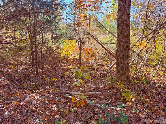 3rd image of Lovely Zion Rd