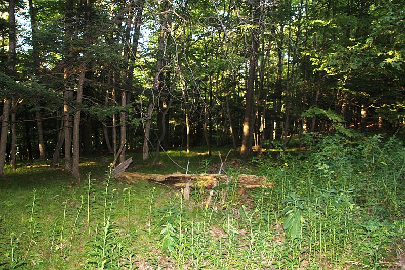 2nd image of 0 SKI TOW Road