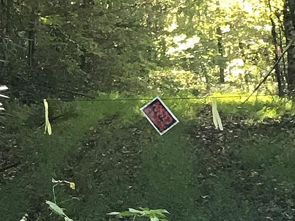 2nd image of TBD Peaks Of Fires Creek LOT 15