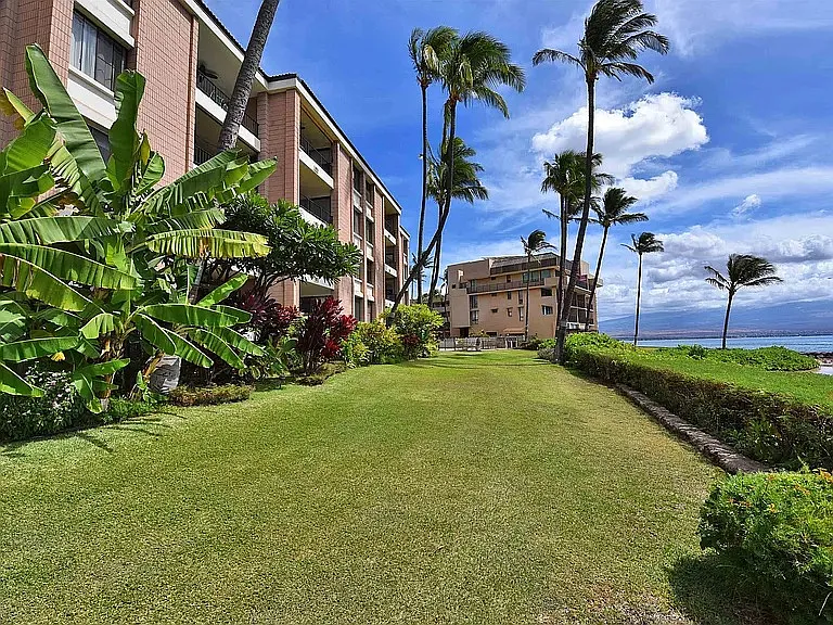 30 Hauoli St #304 — Photo 38
