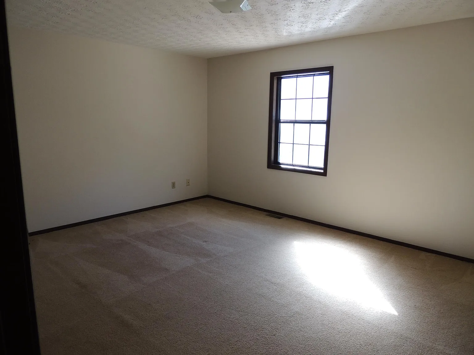 109 McGrew Dr — Photo 4
