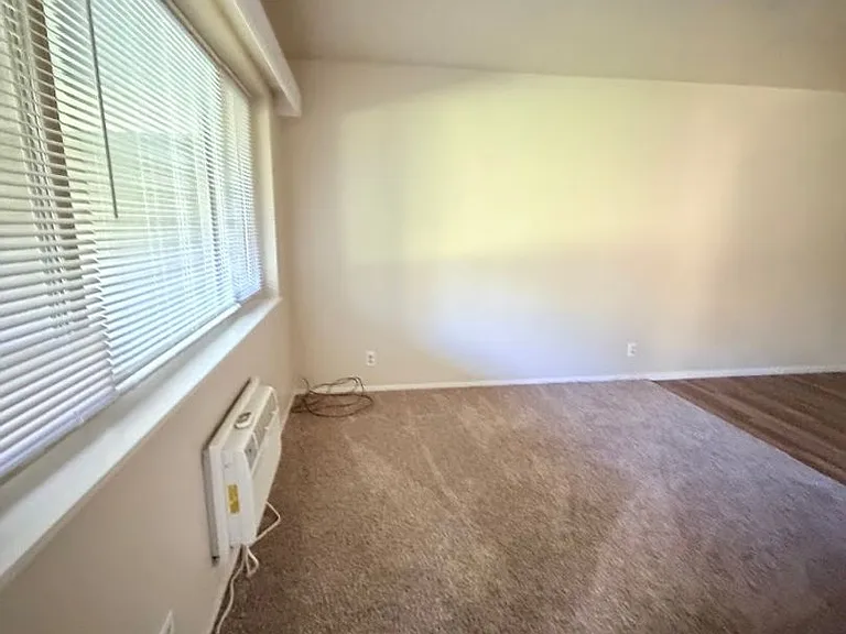 Ivy Common Apartments — Photo 5