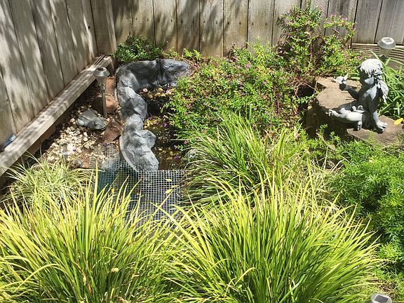 5th image of 5328 Calistoga Way