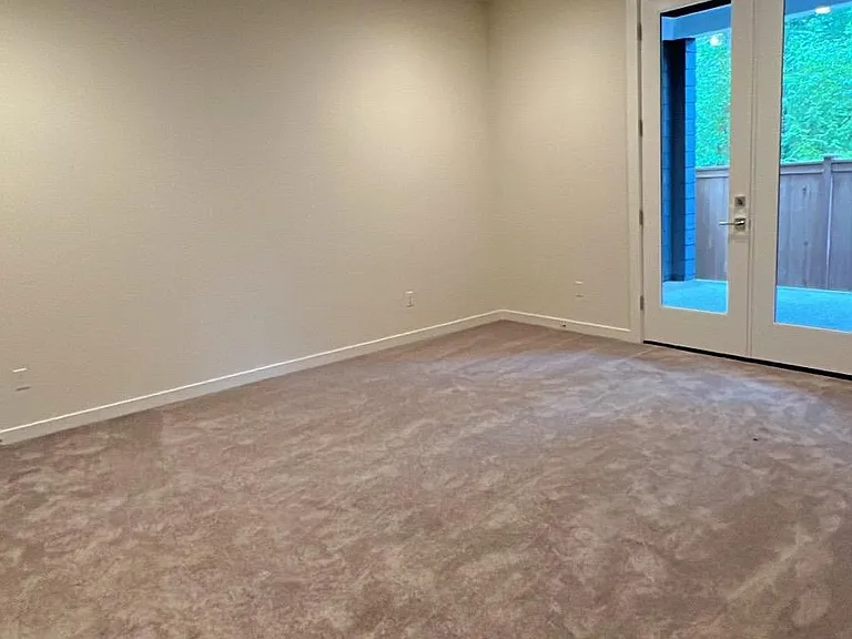 Basement Flex room