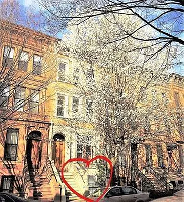 Rented by The Find NY | media 55