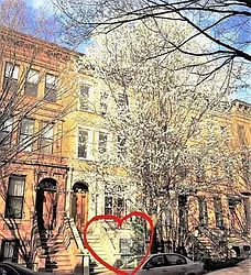 Rented by The Find NY