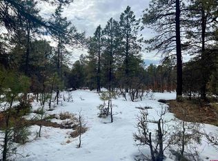 79 Smiths Ct, Pagosa Springs, CO 81147