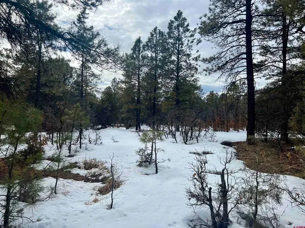 79 Smith's Ct, Pagosa Springs, CO 81147