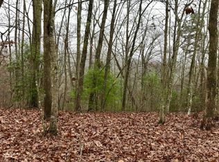 Bear Mountain Pass, Mineral Bluff, GA 30559