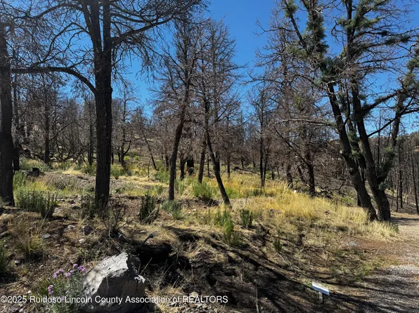 140 Telluride Trl, Ruidoso, NM 88345