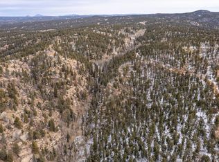 3388 N Mountain Estates Rd, Florissant, CO 80816