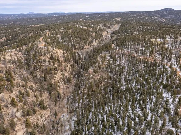 3388 N Mountain Estates Rd, Florissant, CO 80816