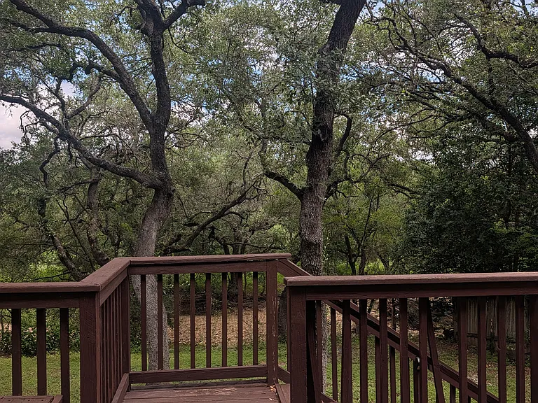 13711 Chittim Woods — Photo 17