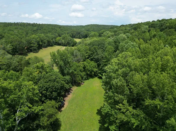 0A Carter Hollow Rd, Linden, TN 37096