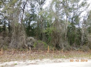 833 Northeast St, Old Town, FL 32680