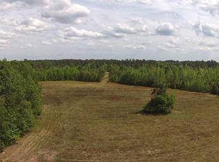 1 Alonzo Rd, Saint George, SC 29477