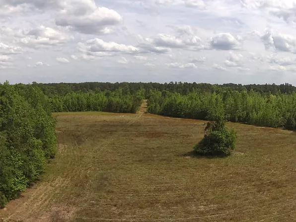 1 Alonzo Rd, Saint George, SC 29477