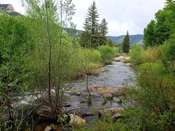 backyard, Eagle River