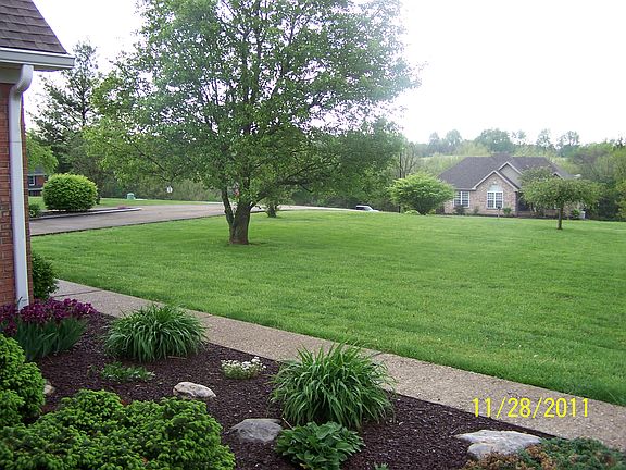 3rd image of 259 Skyline Dr