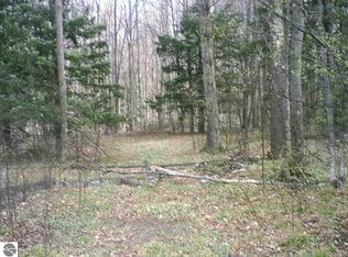 1281 Plum Valley Rd NE, Mancelona, MI 49659