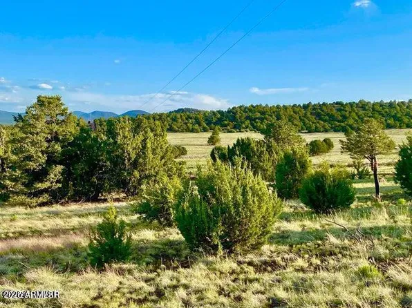 TBD N3208 Lots C & D 19.62 Acres -- #-, Vernon, AZ 85940