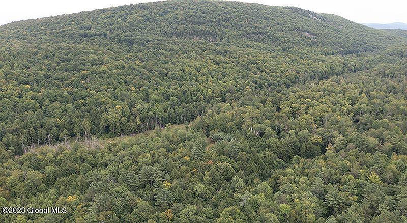 4th image of L40 Mountain Road