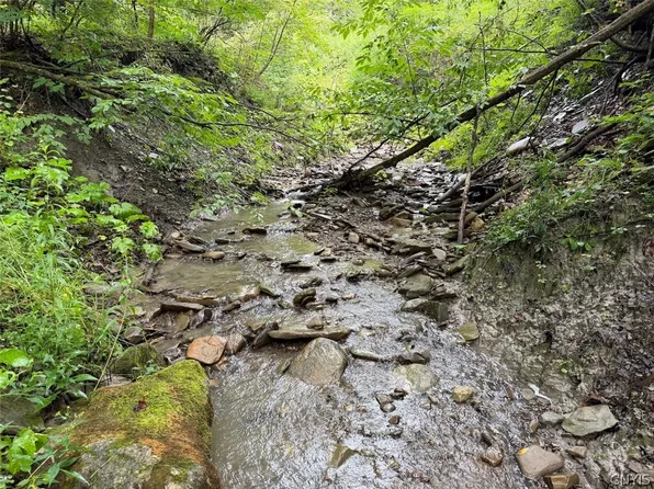 Creek Rd, Sardinia, NY 14134