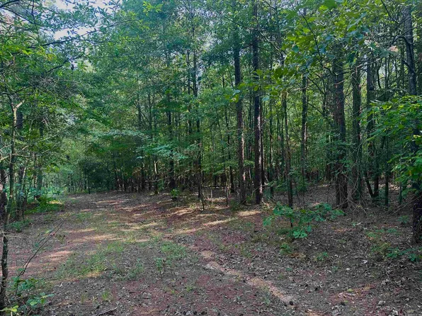 Colin James Ln, Cove, AR 71937