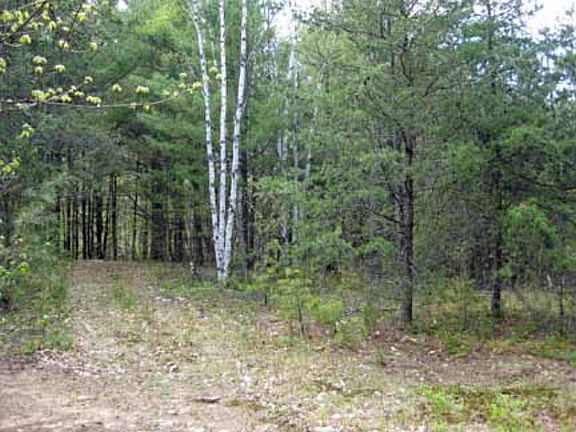 4th image of 103 Stewart Mountain Way