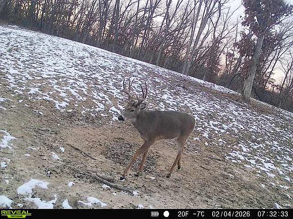 3rd image of Ribbon Rd