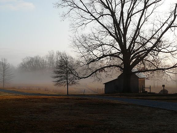 Early morning Fog in Lower Meadow