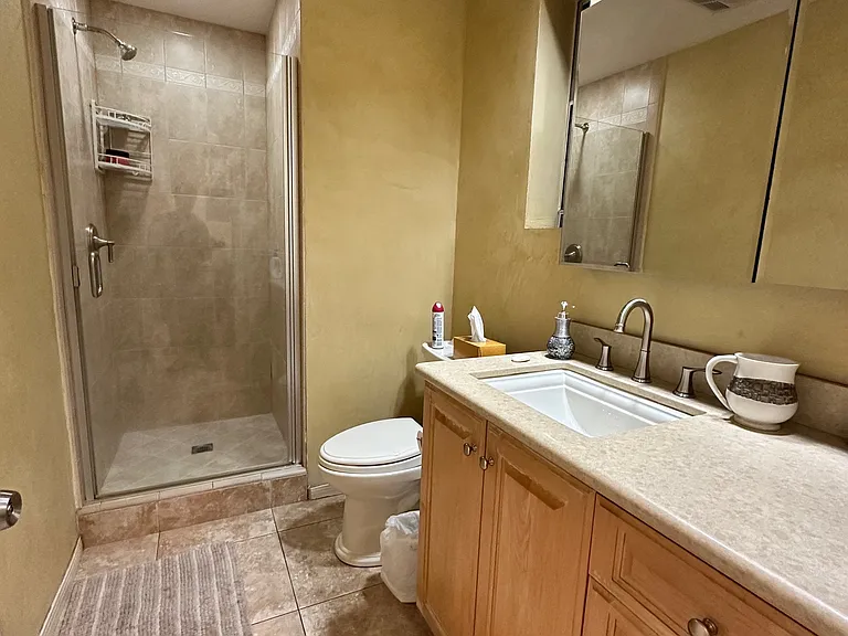 basement bathroom