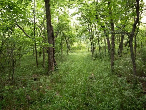 Ransom Rd, Lacygne, KS 66040