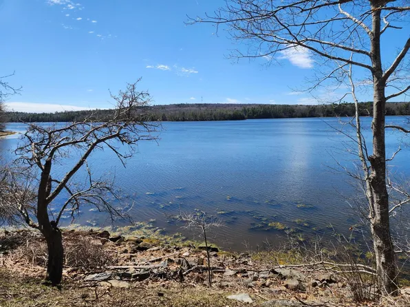 141 Gross Point Road, Orland, ME 04472