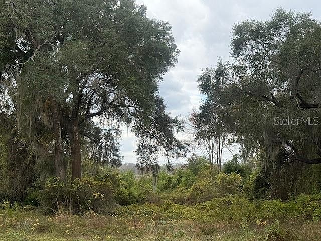 2nd image of SE 175th Ter Lot 18