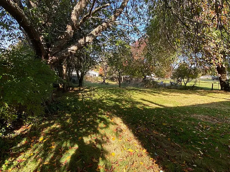 Bowman — Photo 17