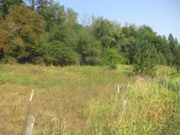 Unassigned Unassigned Address Xx River Estates Rd, Chattaroy, WA 99003