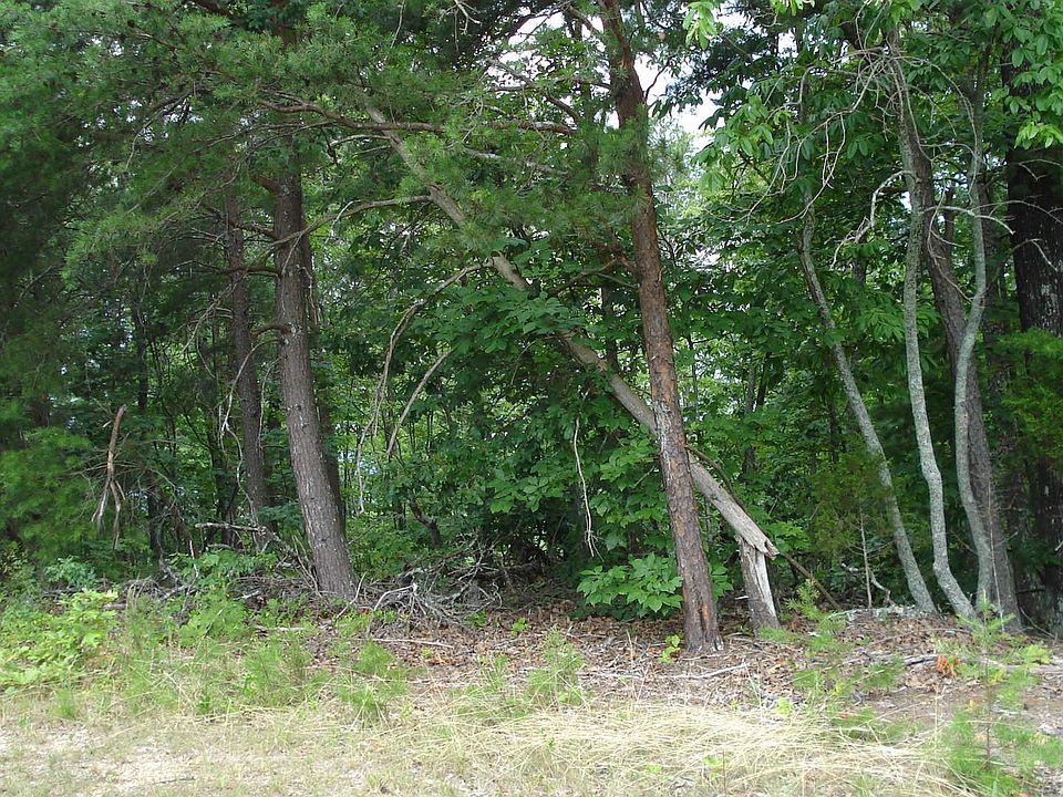 2nd image of 0 Ware Ln