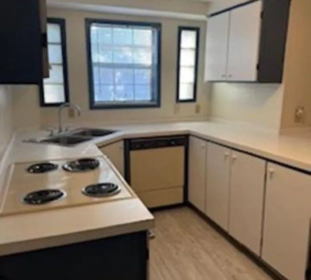 1800 Lucile Ave — Photo 4