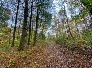 Sugargrove Rd, Blue Rock, OH 43720