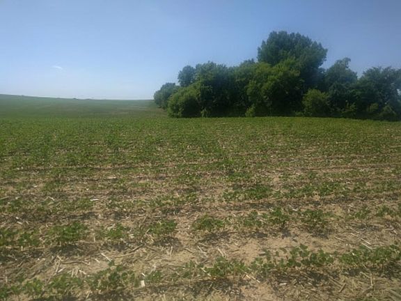 3rd image of 38193 County 8 Blvd