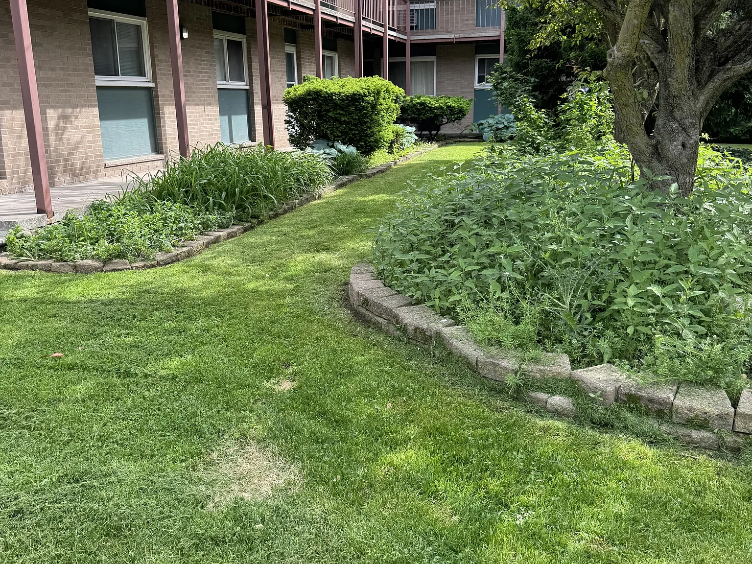 16235 Belmont Ave — Photo 1