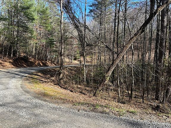 3rd image of 2 Acres Black Walnut Ln